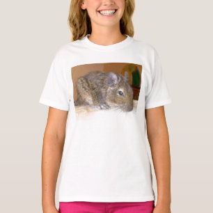 Degu-relaxande söta flickor mot skjorta t-shirt