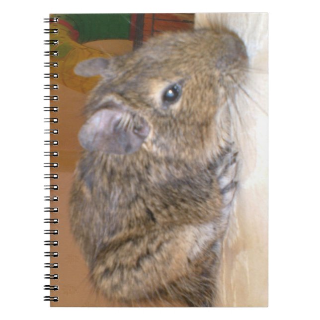 Degu-relaxering av bärbar dator anteckningsbok (Framsidan)