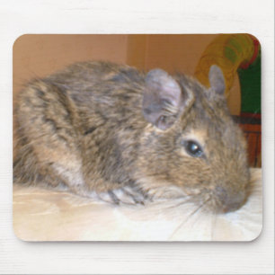 Degu relaxing Mousepad Musmatta