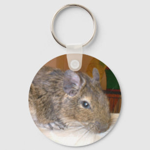 Degu som kopplar av Keychain Nyckelring
