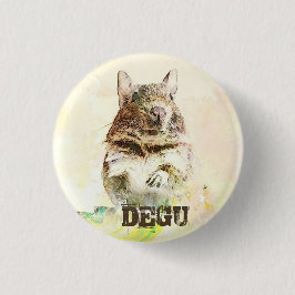 ►► Degus ► Knapp