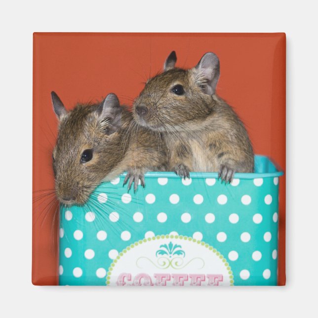 Degus med Polka dots Magnet (Framsidan)