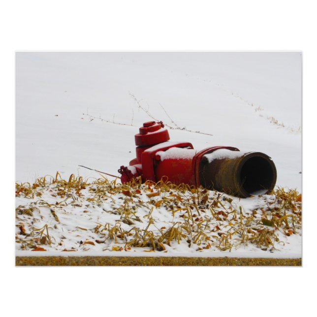 "Dehydratiserad" Fototryck (Framsidan)