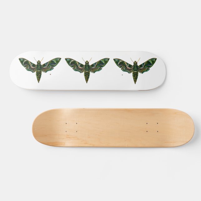 Deilephila Nerii - Oleander Hawk-Moth Mini Skateboard Bräda 18,5 Cm (Horz)