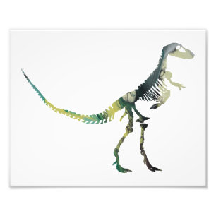 Deinodon skeleton fototryck