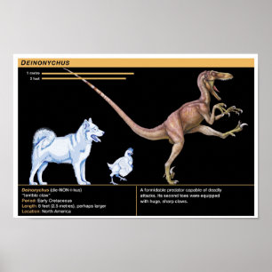 Deinonychus - Biologi Jurassic Dinosaurie Poster
