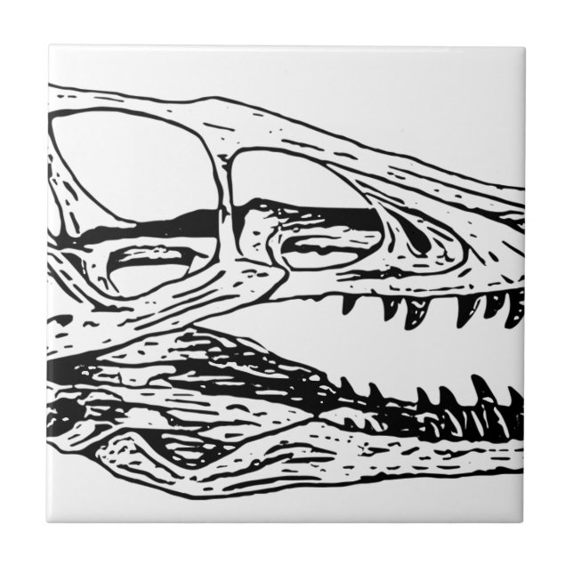 Deinonychus Kakelplatta (Framsidan)