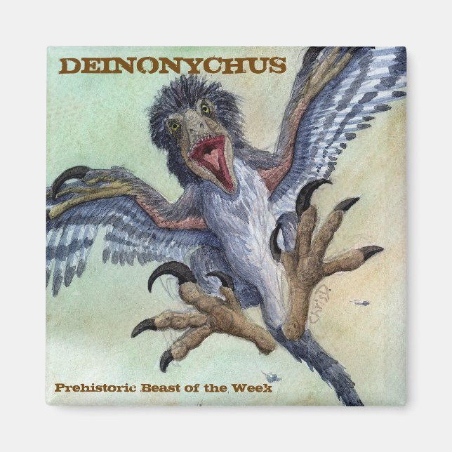 Deinonychus Magnet (Framsidan)
