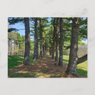 Deis Hill Park, Dover, Ohio Vykort