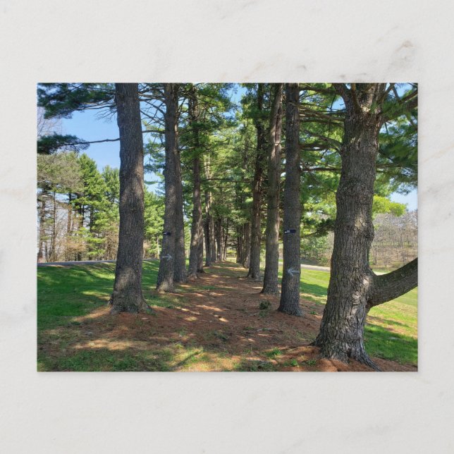 Deis Hill Park, Dover, Ohio Vykort (Framsida)