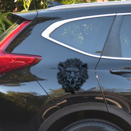 DEKALER FÖR BILAR MM