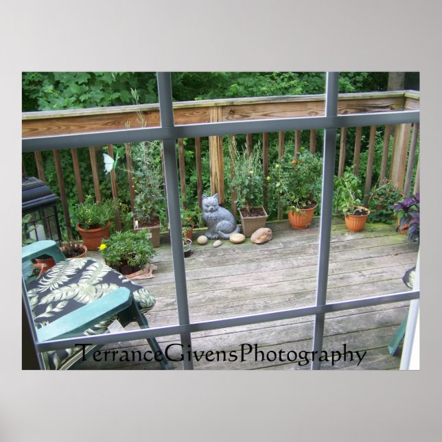 Dekka katt i fönster poster (Framsidan)