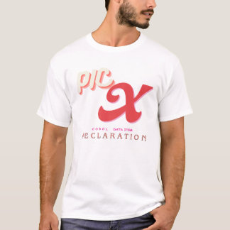 Deklaration av registerdataelement t shirt