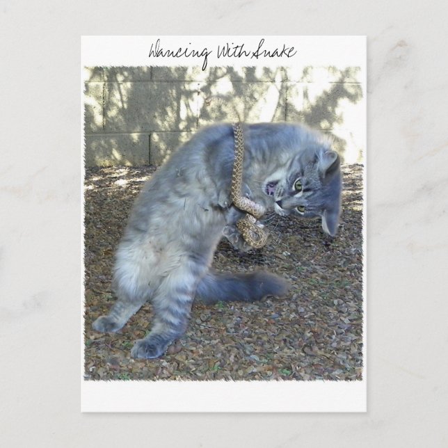 Dekning med snake vykort (Framsida)