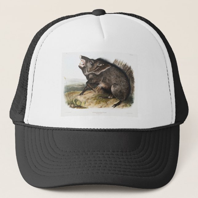 Dekogåvor för Collated Peccary Gris Camping Deco-g Keps (Framsida)
