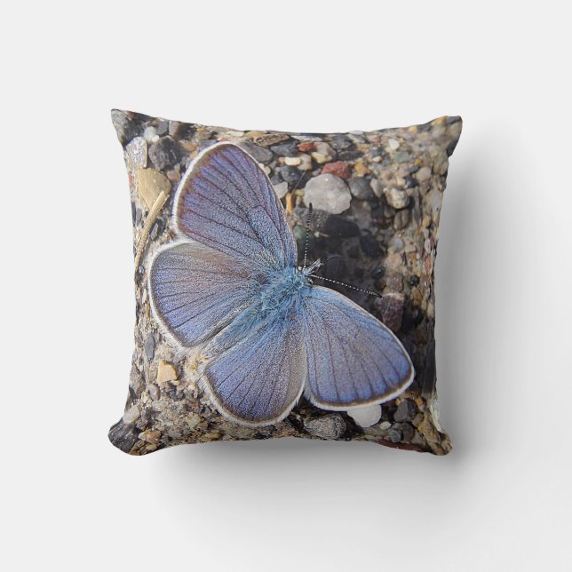 Dekokissen blauer Schmetterling Kudde (Framsida)
