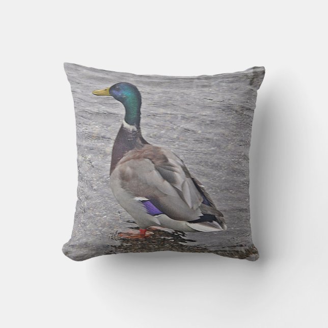 Dekokissen Ente Kudde (Framsida)