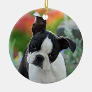 Dekor för hängning för valp för Boston Terrier Julgransprydnad Keramik