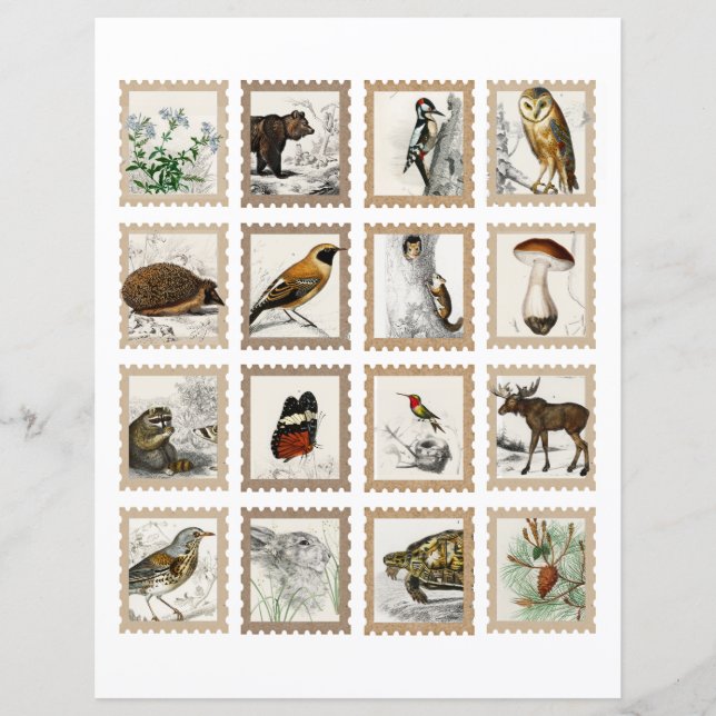 Dekoraccenter för trädsdjur i segmentet Journal (Framsida)