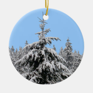 Dekorationer för Winter Liggande ornament Snö Träd