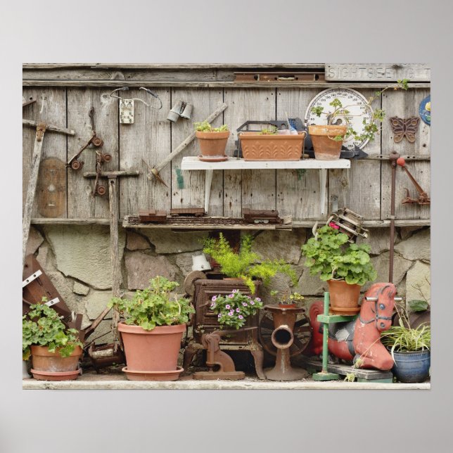 Dekorationer på trästaket, Catalina Island, (Framsidan)