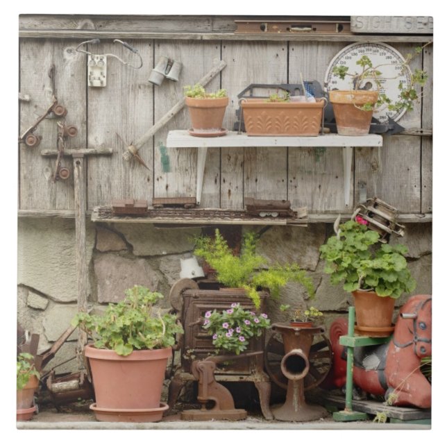 Dekorationer på trästängsel, Catalina Island. Kakelplatta (Framsidan)