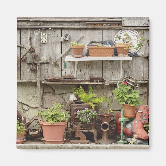 Dekorationer på trästängslet, Catalina Island. Magnet (Framsidan)