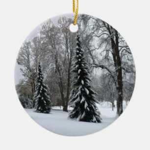 Dekorationerna Winter Ligcape Ornament Snö Träd