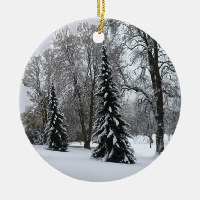 Dekorationerna Winter Ligcape Ornament Snö Träd (Framsidan)