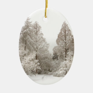 Dekorationerna Winter Ligcape Ornament Snö Träd
