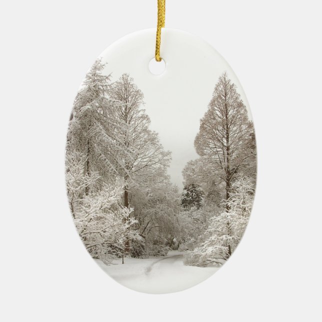 Dekorationerna Winter Ligcape Ornament Snö Träd (Framsidan)