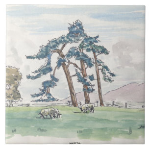 Dekorativ engelsk bygd belägger med tegel kakelplatta