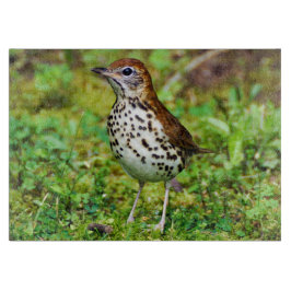 Dekorativ Glass skärbräda för Wood trast