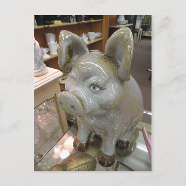 Dekorativ Gris Vykort (Framsida)