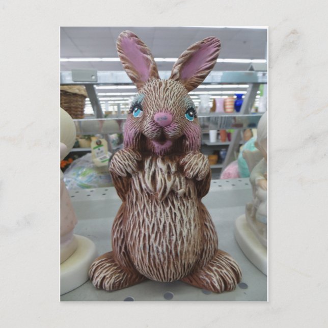 Dekorativ kanin vykort (Framsida)