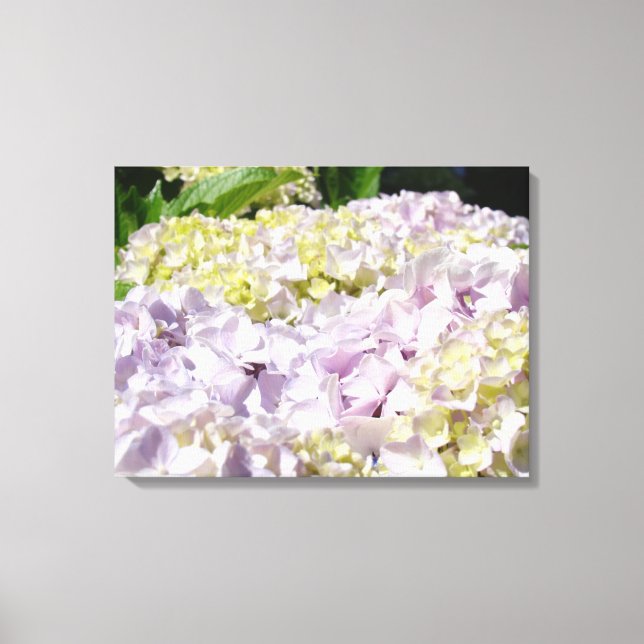 Dekorativ konst Canvastryck Hortensia Blommor (Framsida)