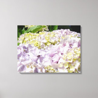 Dekorativ konst Canvastryck Hortensia Blommor