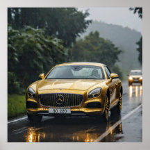 Dekorativ konst - körning i regnet #2