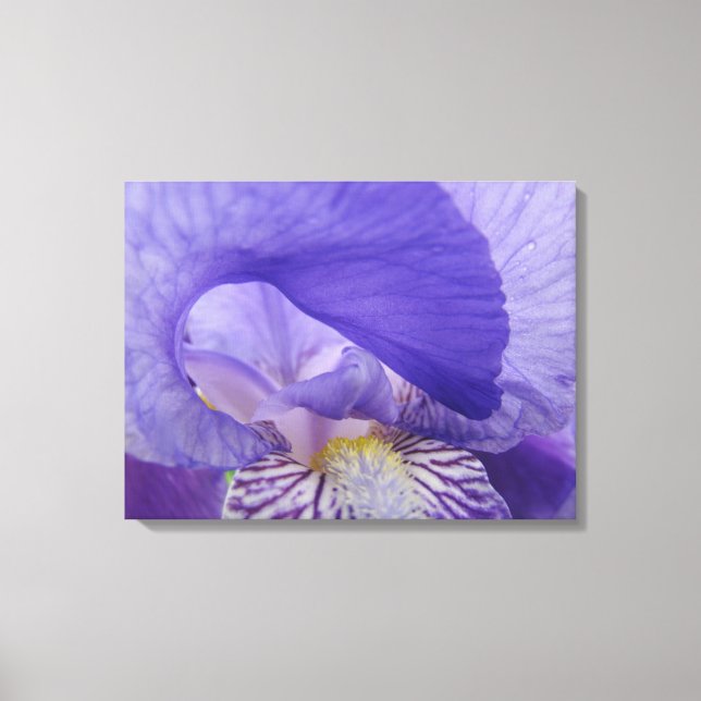 Dekorativ konstduksutskrifter Lila Iris Blomma Canvastryck (Framsida)