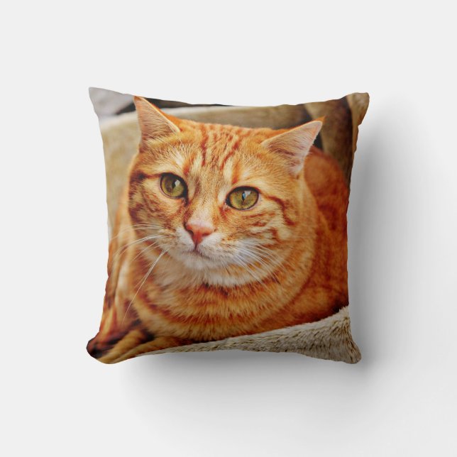 Dekorativ kudde 16 tum x 16 tum (Framsida)