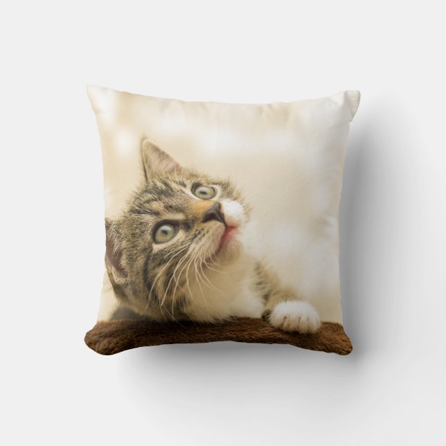 Dekorativ kudde 16 tum x 16 tum (Framsida)