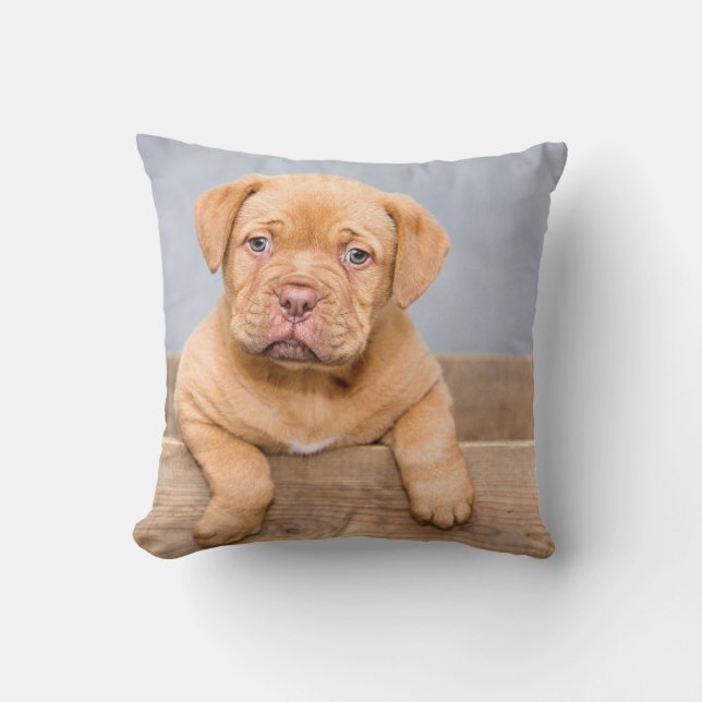 Dekorativ kudde 16 tum x 16 tum (Framsida)