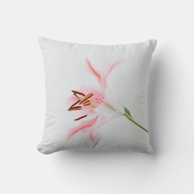 Dekorativ kudde 16 tum x 16 tum (Framsida)