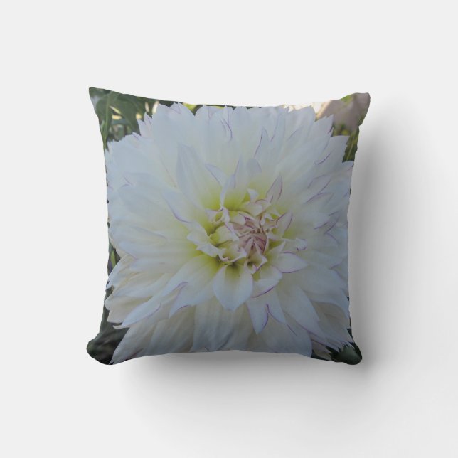 Dekorativ kudde--Dahlia "för galen kärlek" Kudde (Framsida)