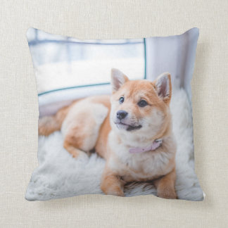 Dekorativ kudde, Dekorativ kudde 16 tum x 16 tum