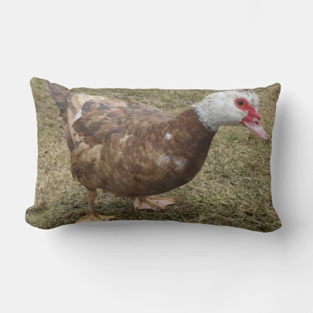 Dekorativ kudde för chokladMuscovy anka (Framsida)