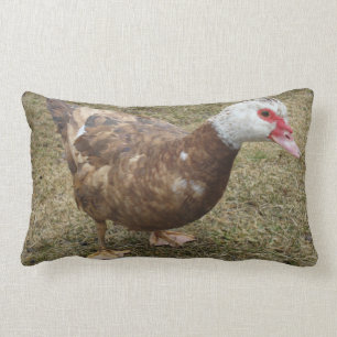 Dekorativ kudde för chokladMuscovy anka