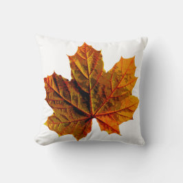 Dekorativ kudde för varje rum