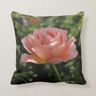 Dekorativ kudde med "Abraham Darby" steg