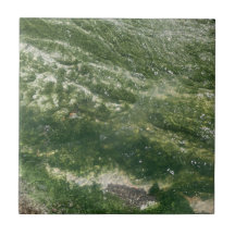 Dekorativ panel för grönt